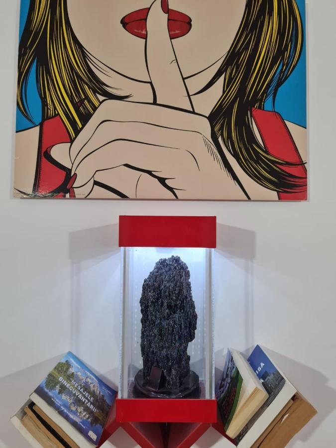 Pensiunea Riccardo 布拉索夫 外观 照片